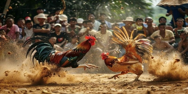 Thể loại Peru đang rất được đông đảo người chơi ưa chuộng