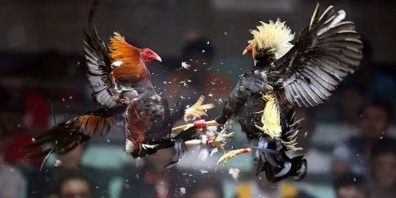 Hệ thống kết quả trả thưởng công bằng