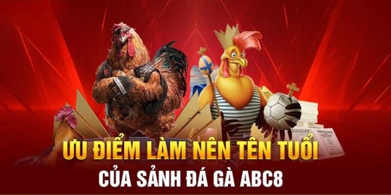 Điều gì làm nên sự khác biệt của nền tảng đá gà ABC8?